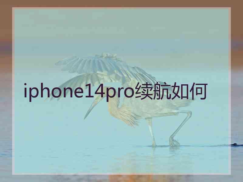 iphone14pro续航如何