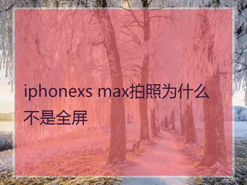 iphonexs max拍照为什么不是全屏