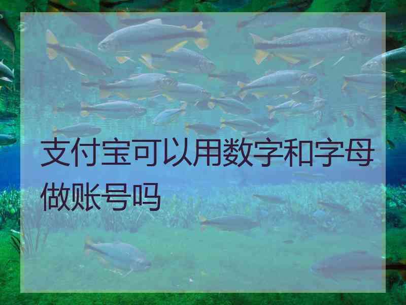 支付宝可以用数字和字母做账号吗