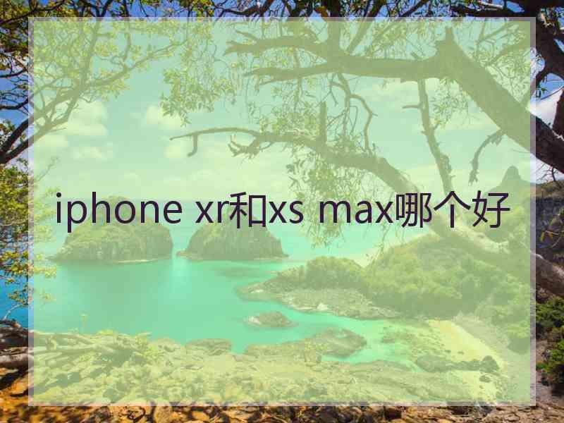 iphone xr和xs max哪个好