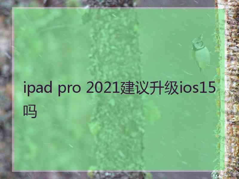 ipad pro 2021建议升级ios15吗