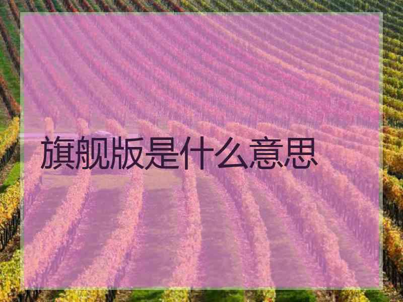 旗舰版是什么意思