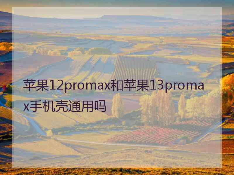 苹果12promax和苹果13promax手机壳通用吗