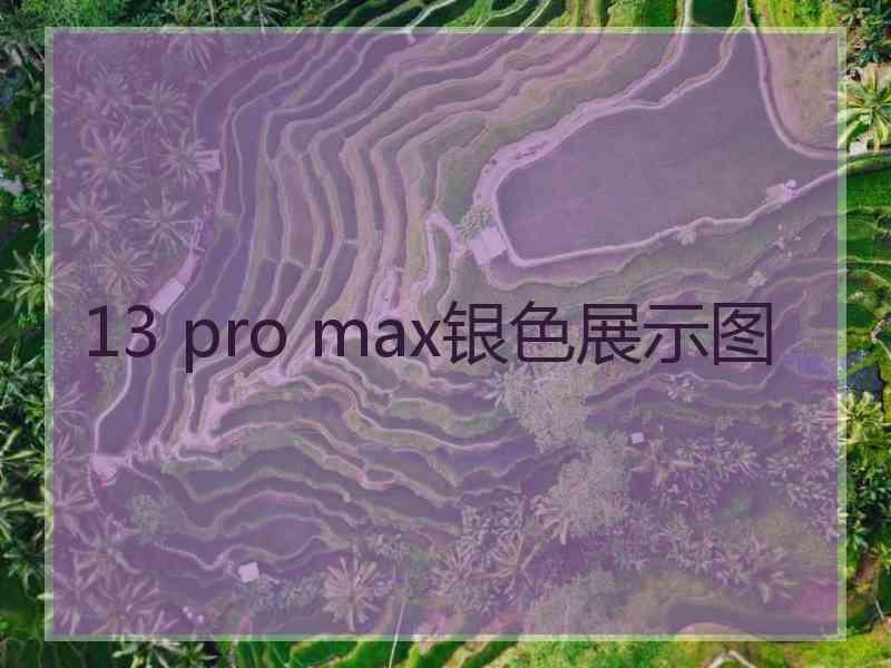 13 pro max银色展示图