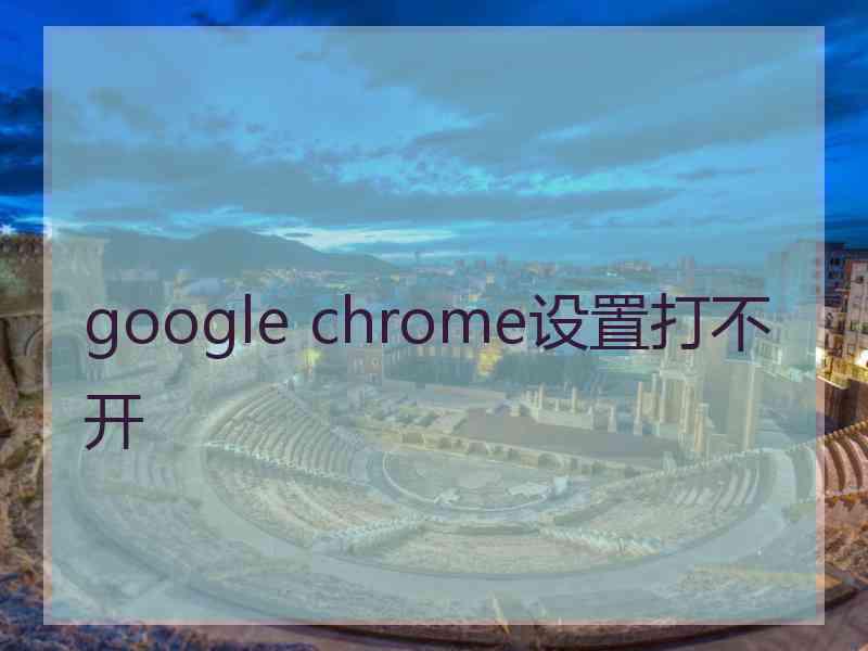 google chrome设置打不开