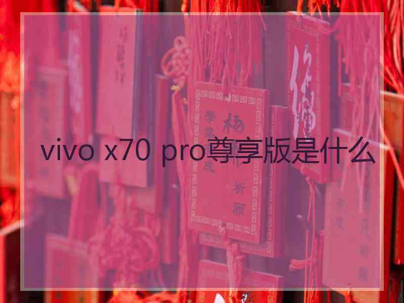 vivo x70 pro尊享版是什么