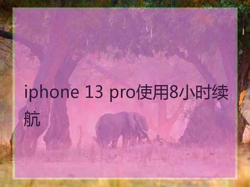 iphone 13 pro使用8小时续航