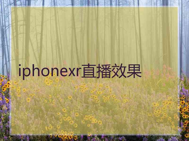 iphonexr直播效果