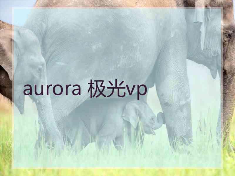 aurora 极光vp