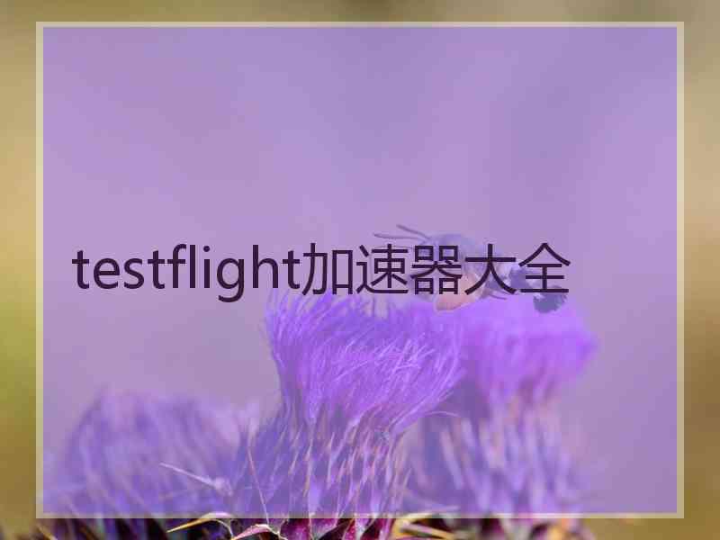 testflight加速器大全