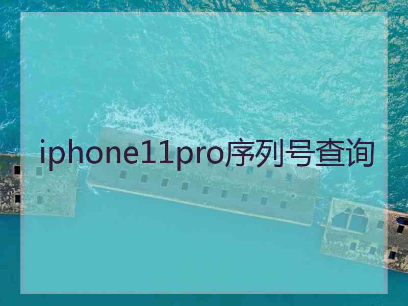 iphone11pro序列号查询