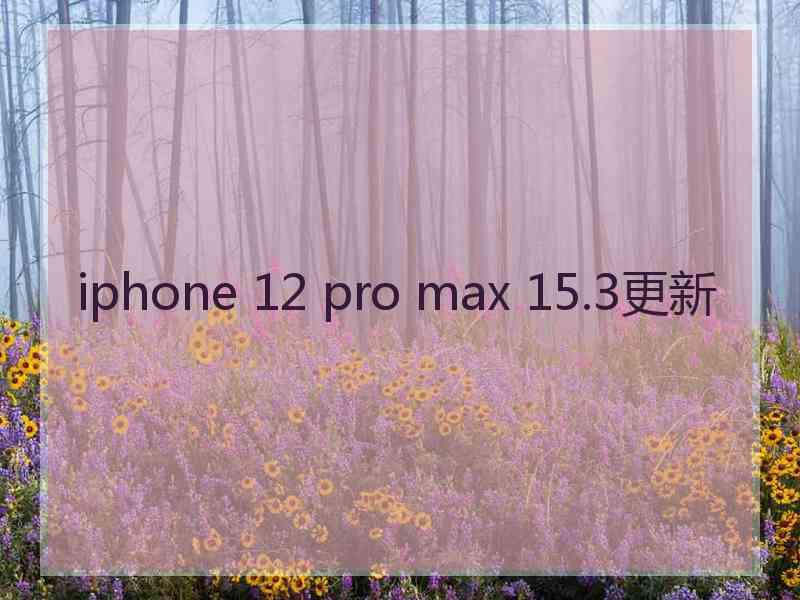 iphone 12 pro max 15.3更新