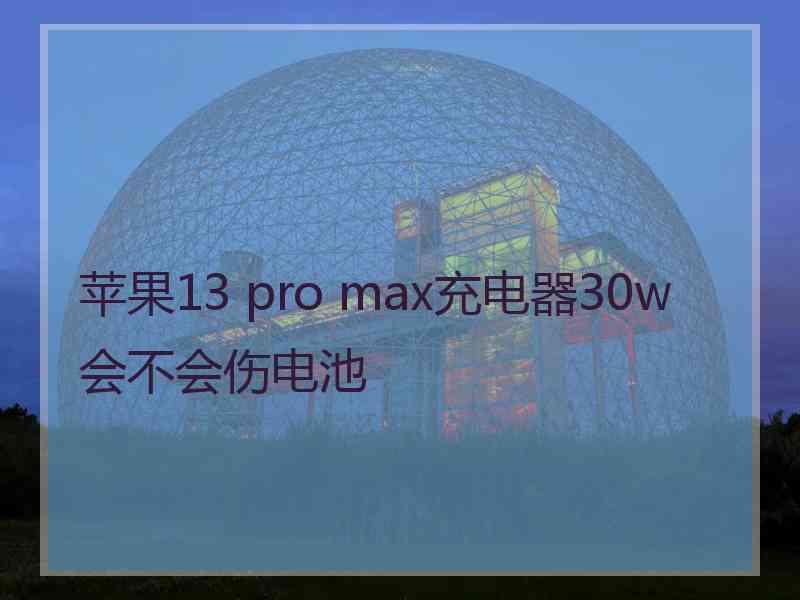 苹果13 pro max充电器30w会不会伤电池