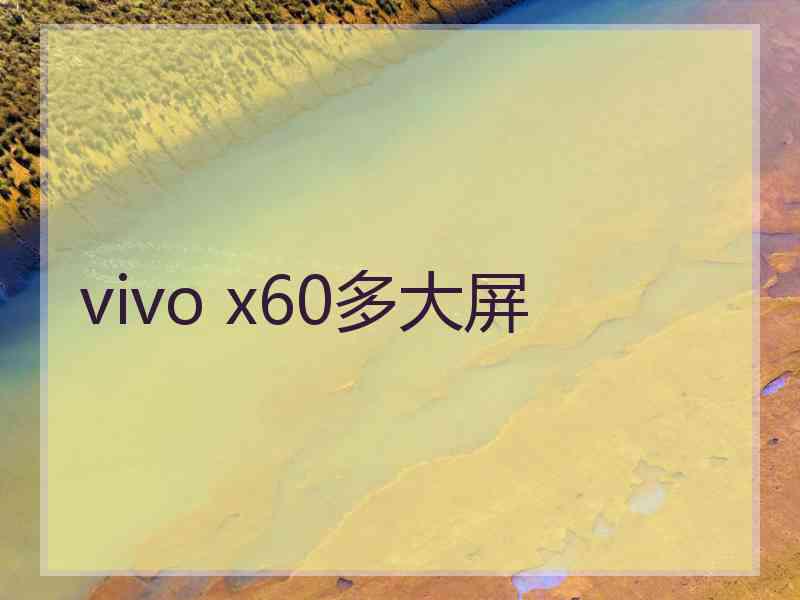 vivo x60多大屏