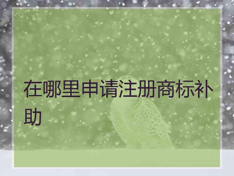 在哪里申请注册商标补助