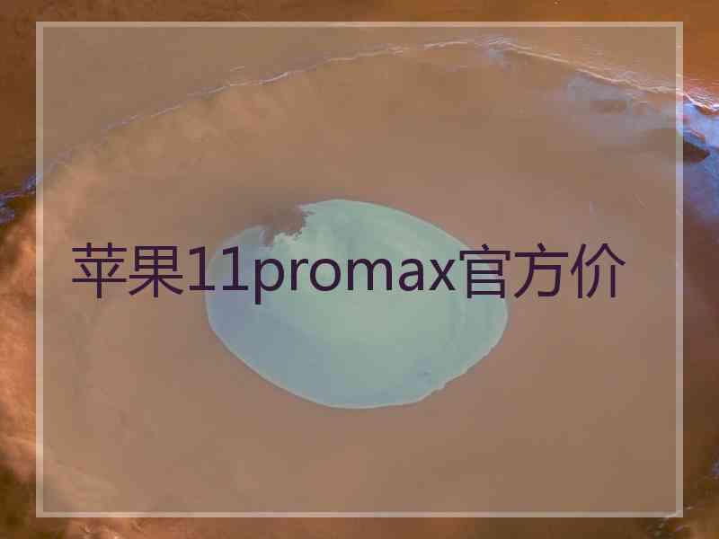 苹果11promax官方价