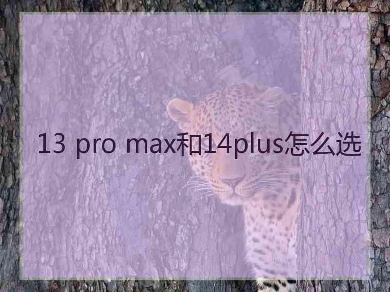 13 pro max和14plus怎么选