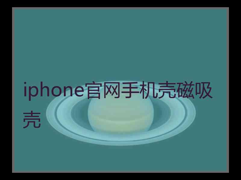 iphone官网手机壳磁吸壳