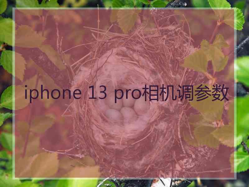 iphone 13 pro相机调参数