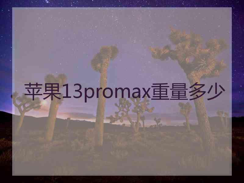 苹果13promax重量多少