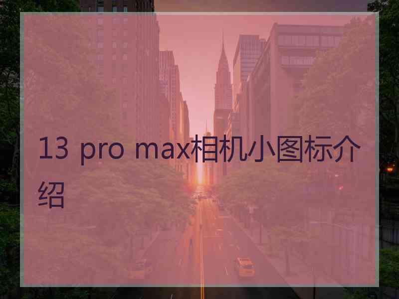 13 pro max相机小图标介绍