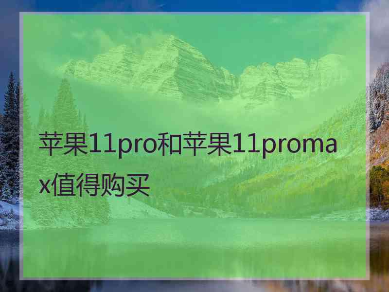 苹果11pro和苹果11promax值得购买