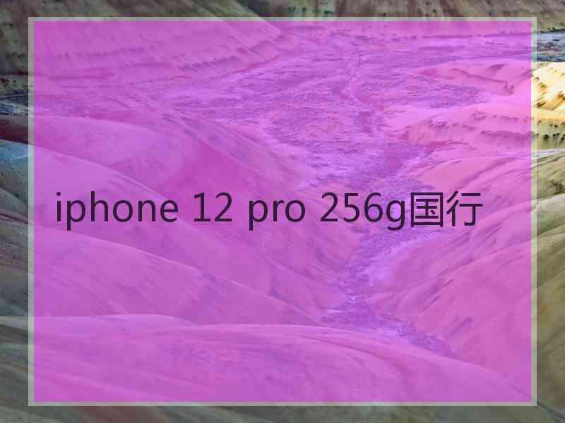 iphone 12 pro 256g国行