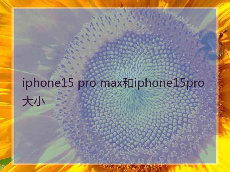 iphone15 pro max和iphone15pro大小