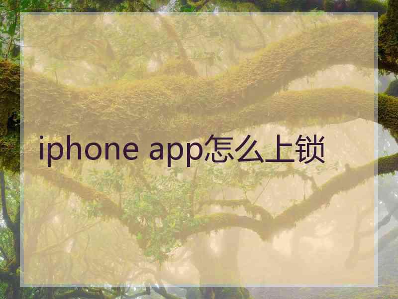 iphone app怎么上锁