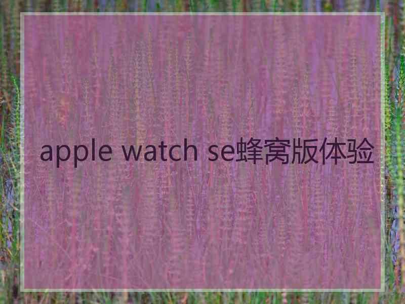 apple watch se蜂窝版体验