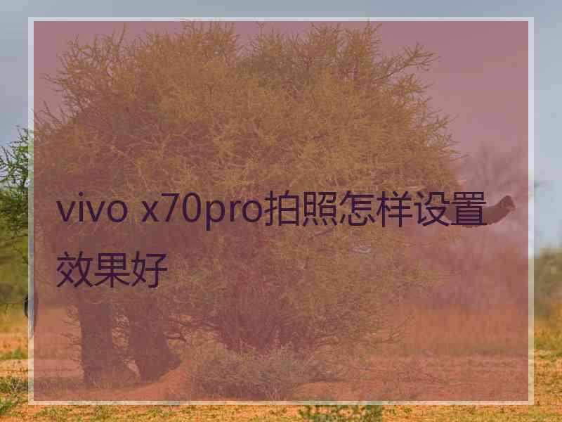 vivo x70pro拍照怎样设置效果好