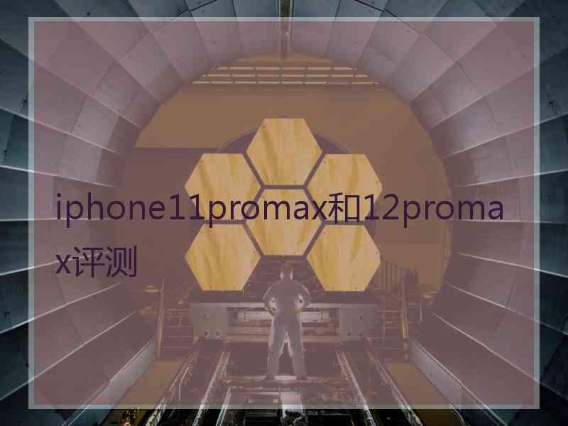 iphone11promax和12promax评测