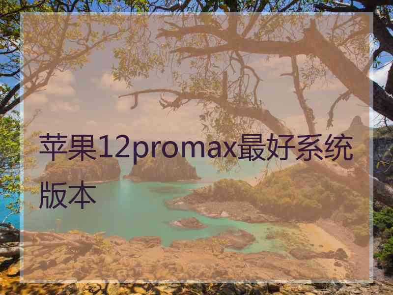 苹果12promax最好系统版本