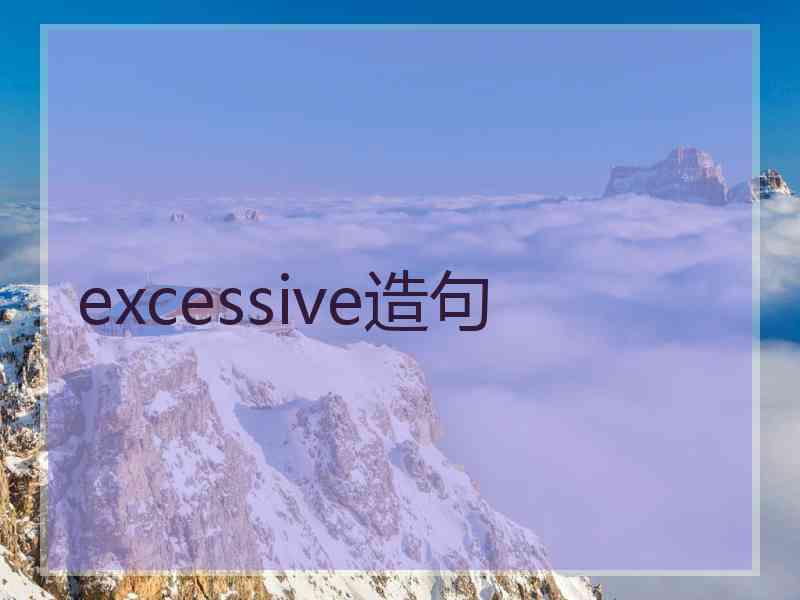 excessive造句