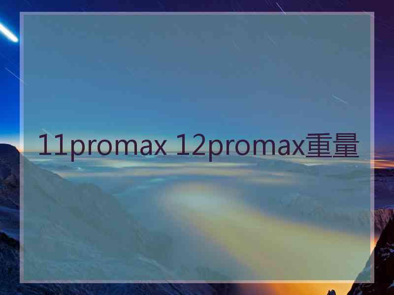 11promax 12promax重量