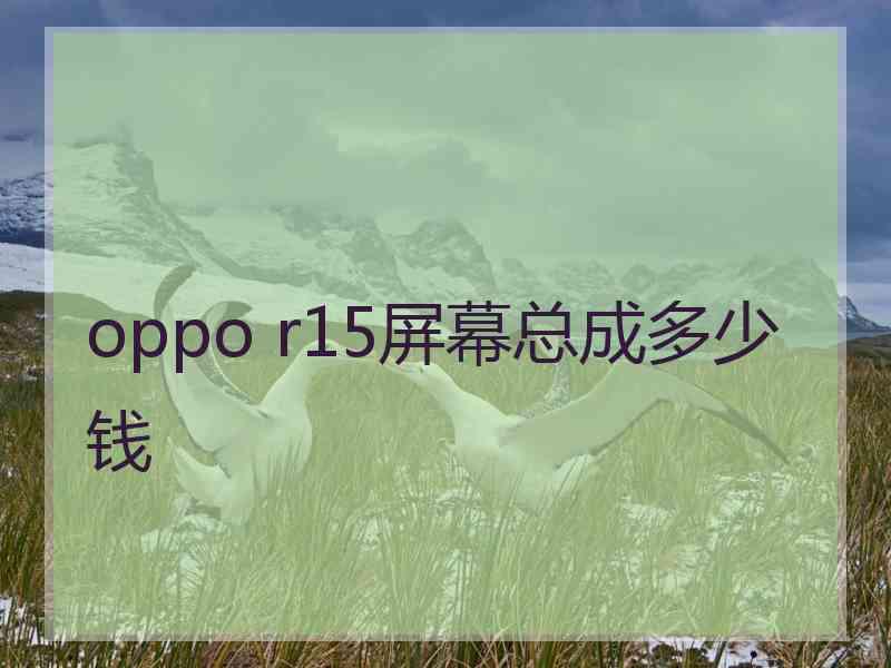 oppo r15屏幕总成多少钱