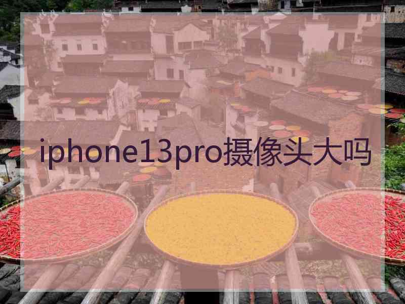 iphone13pro摄像头大吗