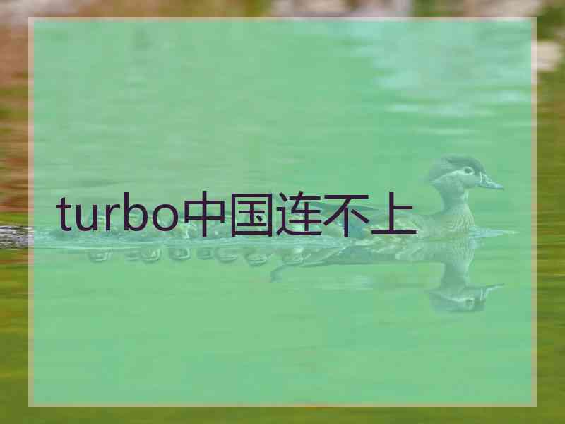 turbo中国连不上