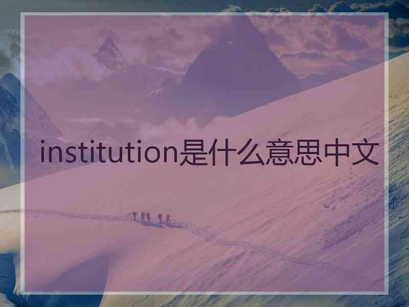 institution是什么意思中文