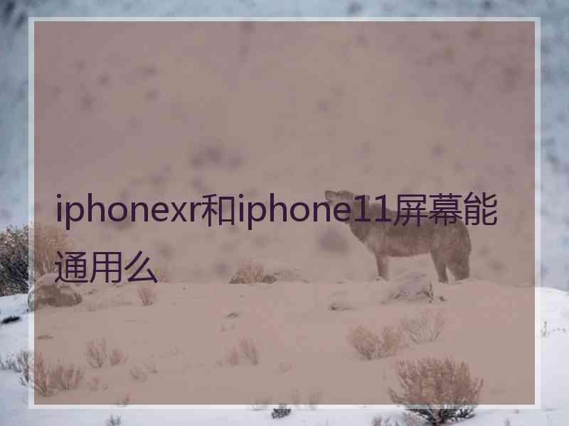 iphonexr和iphone11屏幕能通用么