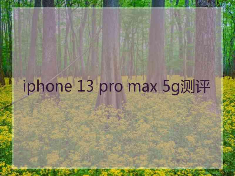 iphone 13 pro max 5g测评