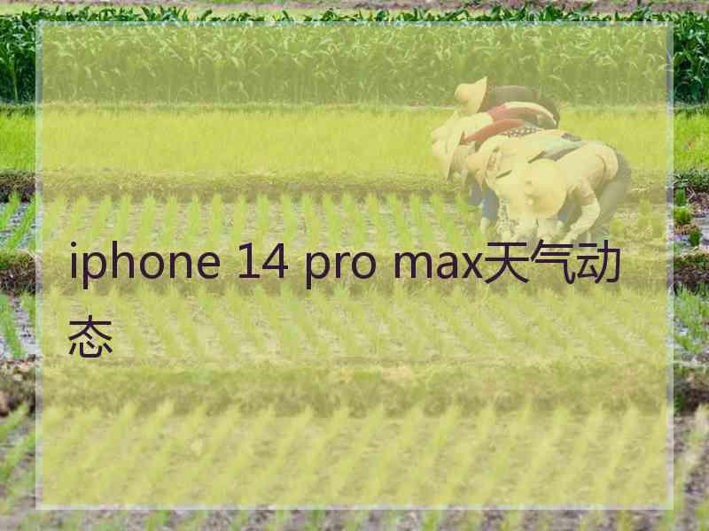 iphone 14 pro max天气动态