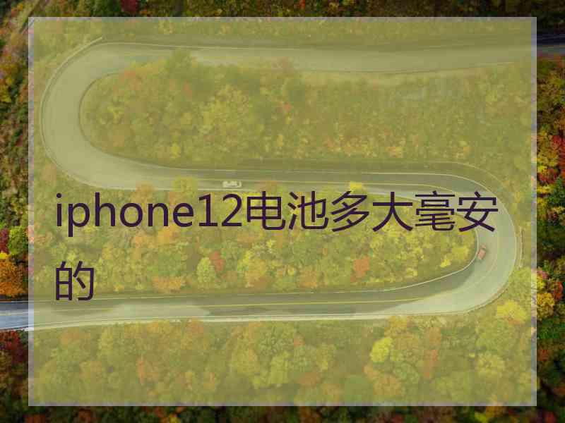 iphone12电池多大毫安的