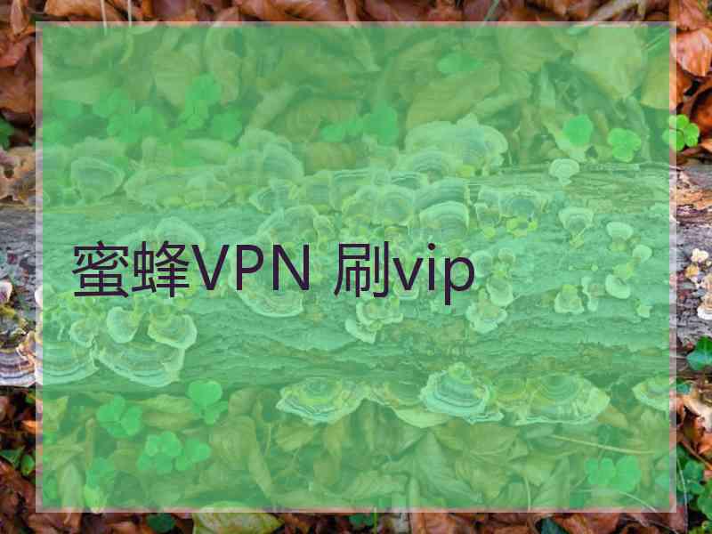 蜜蜂VPN 刷vip