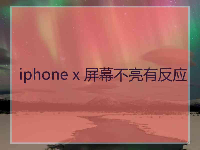 iphone x 屏幕不亮有反应