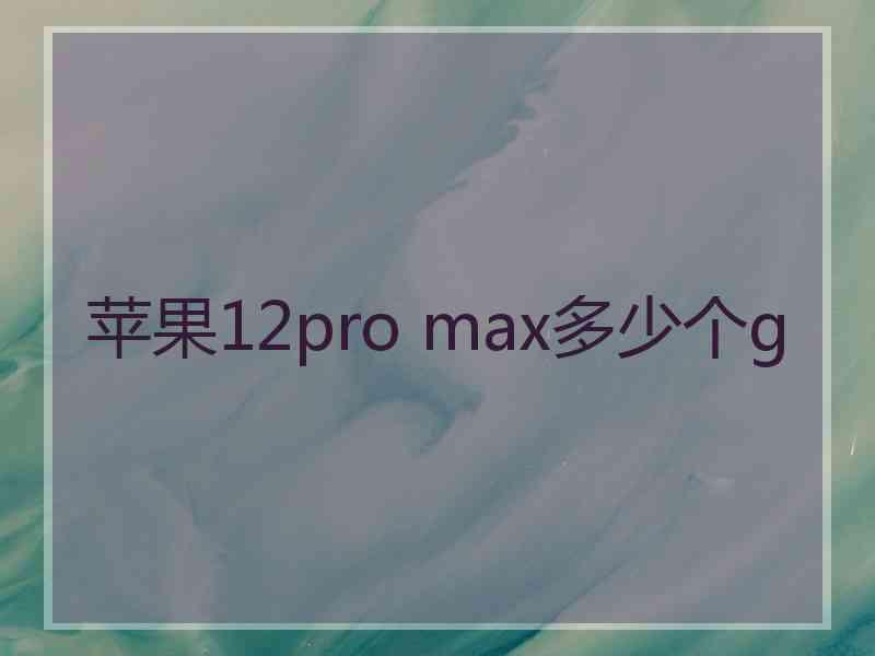 苹果12pro max多少个g