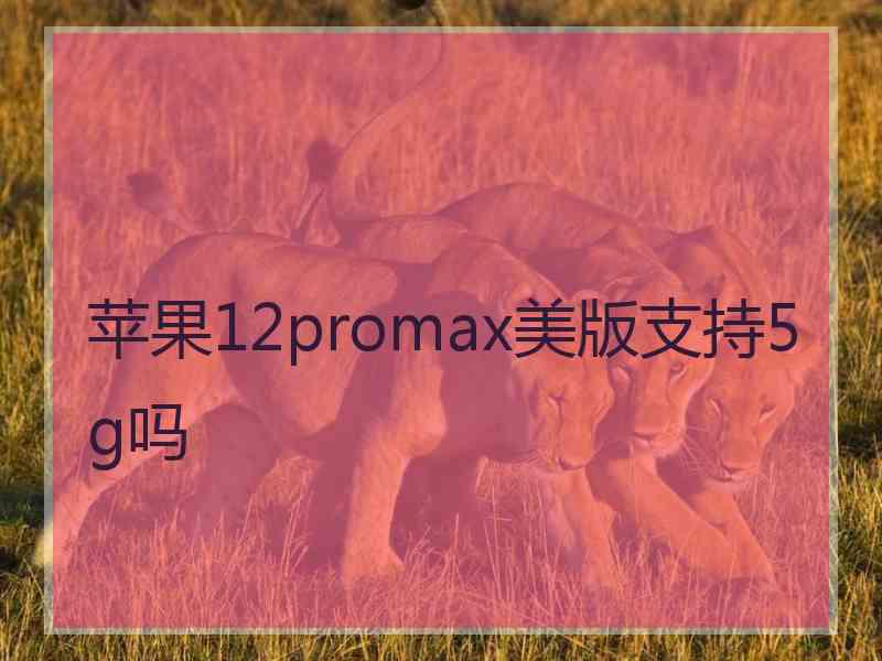 苹果12promax美版支持5g吗