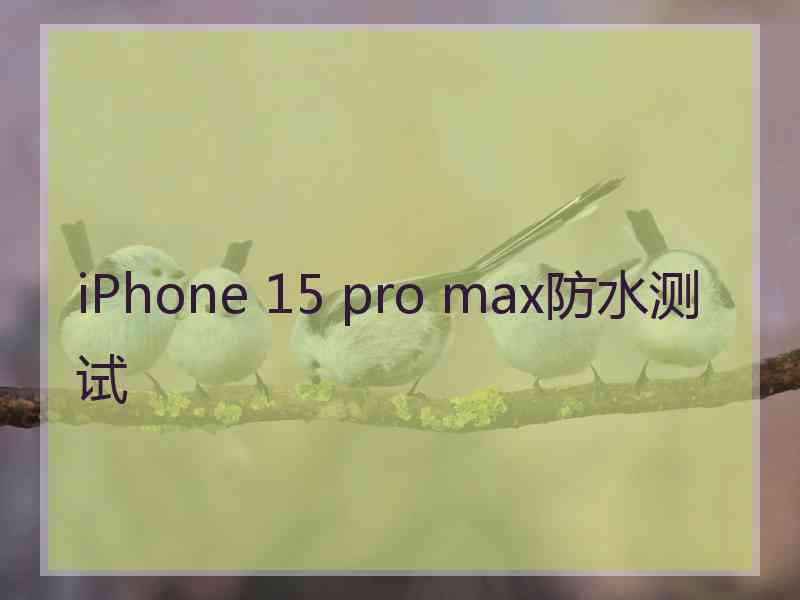 iPhone 15 pro max防水测试