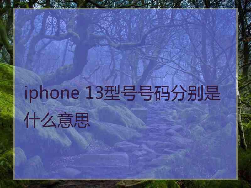 iphone 13型号号码分别是什么意思