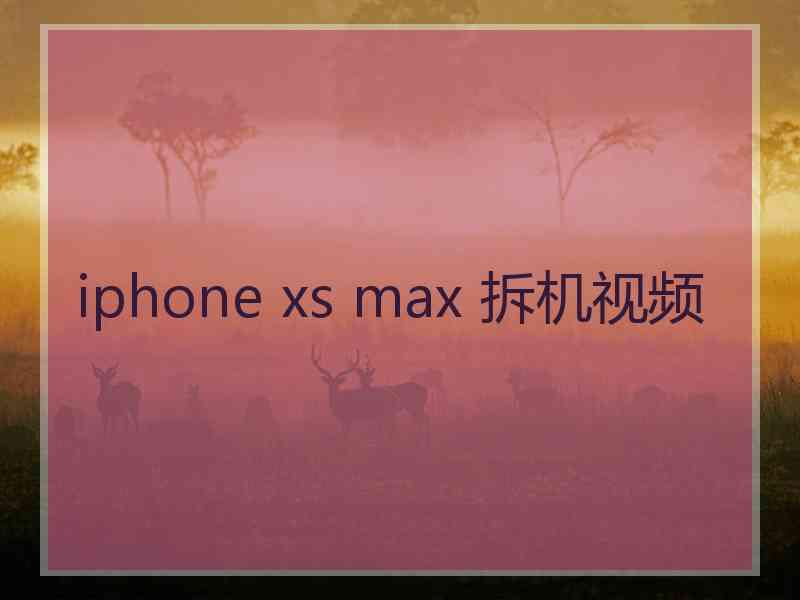 iphone xs max 拆机视频